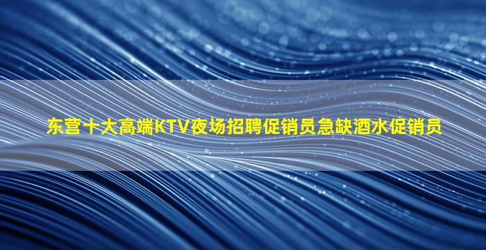 东营十大高端KTV夜场招聘促销员急缺酒水促销员